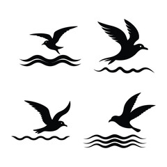 silhouettes of birds