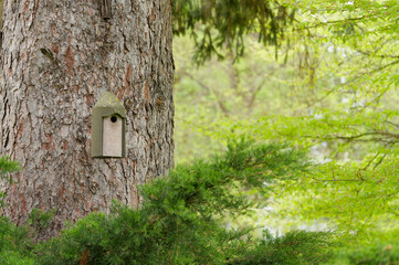 concrete bird house