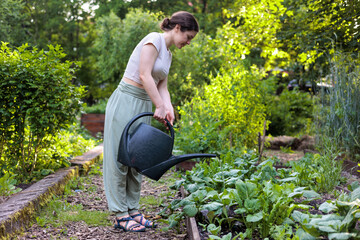 Young woman watering plants in raised garden beds with a watering can. a scene of sustainable urban...