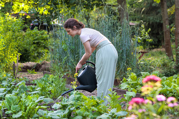 Young woman watering vegetables in raised garden bed using watering can. Sustainable gardening,...