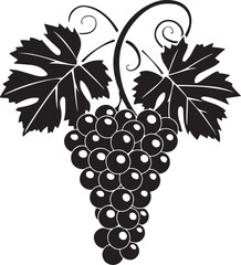 Black silhouette of grapes with leaves vector illustration