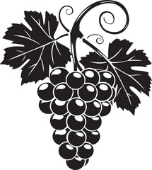 Black silhouette of grapes with leaves vector illustration