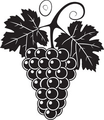 Black silhouette of grapes with leaves vector illustration