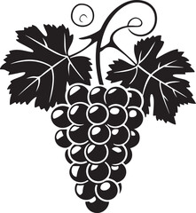 Black silhouette of grapes with leaves vector illustration