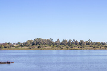 Bosque al otro lado del río