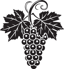 Black silhouette of grapes with leaves vector illustration
