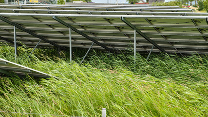 Solar panels in Altentreptow near Neubrandenburg on a cloudy summer day