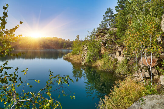 Pine Tree at Korostyshiv Quarry