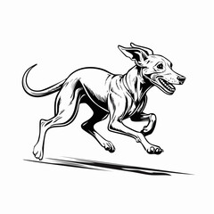 Greyhound Dog Racing. Illustration Greyhound Dog Racing Running image Vector isolated on white background.