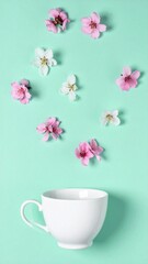 Blooming cherry blossoms scattered across a pale mint background