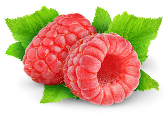 Two raspberries isolated on white