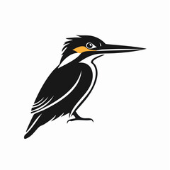 Common Kingfisher Bird image vector. Illustration of Common Kingfisher Bird image isolated on white background.