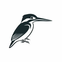 Common Kingfisher Bird image vector. Illustration of Common Kingfisher Bird image isolated on white background.