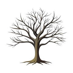 A detailed illustration of a bare deciduous tree with intricate branches and roots isolated on white background isolated on transparent background
