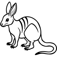 kangaroo vector illustration