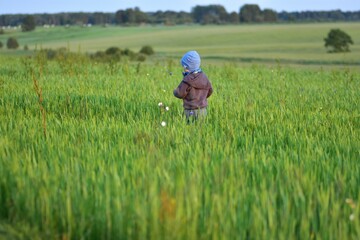 Young child wearing hoodie stands in a lush green field, pointing into wild flower . Wide countryside view with summer crops. Concept of childhood, curiosity, and rural life outdoors.