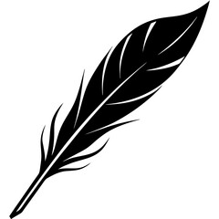 Obraz premium feather on white background