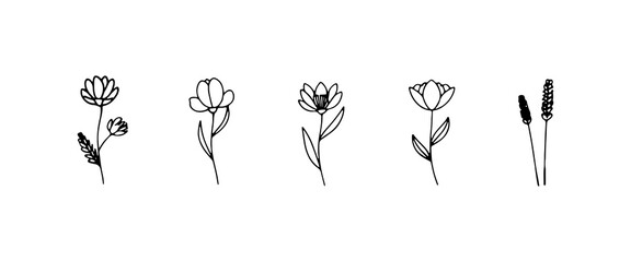 Open Blooms Collection. A refined set of open floral illustrations with varied petal designs, perfect for light branding and botanical-themed designs.