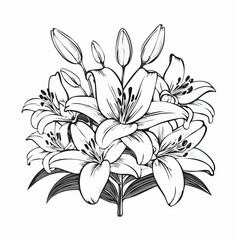 Elegant blooming lilies with buds Image vector isolated on white background.