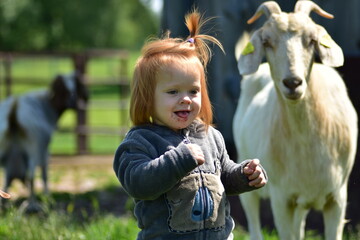 Little girl with mouth rash smiles while visiting goats on a sunny green farm. Joyful rural moment...