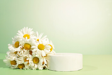 Empty podium with beautiful flowers of garden chamomile and mallow.Abstract flower...