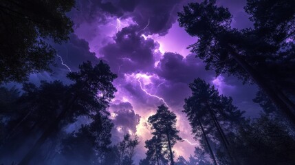 Stunning Purple Sky with Lightning Over Tall Forest Trees at Dusk