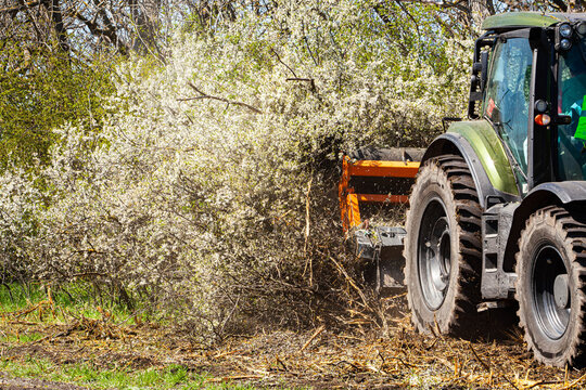 Against a background of nature, a tractor-type machine is captured cutting and clearing forests in nature. Deforestation is a big problem. This device cuts everything in its path such as trees, bushes