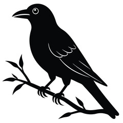 crow on a branch