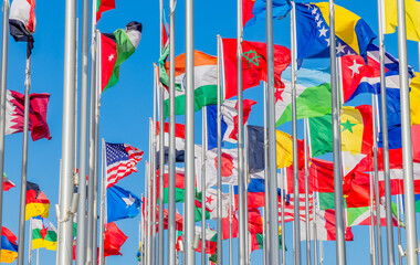 World congress countries national flags waving on the wind, with Djibouti, Bosnian, Moroccan, Senegal, Cuban, US banners waving in the foreground, Doha, Qatar