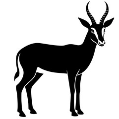 deer silhouette isolated on white