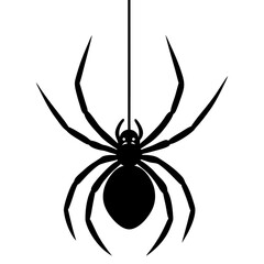 spider on a white background