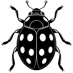 vector illustration of a ladybug