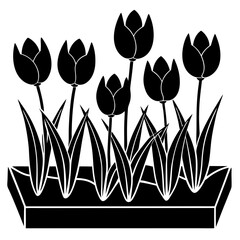 tulip flowers vector illustration
