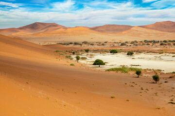 Dunes in the Namib Naukluft National Park, Namibia