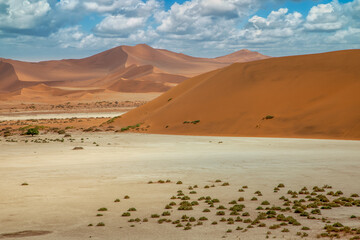 Dunes in the Namib Naukluft National Park, Namibia