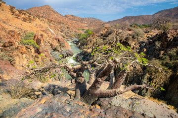 Epupa Falls on the Kuene River, Namibia.