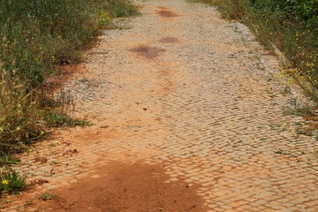 A close up view of Red Earth Texture Muddy Pavement After Rain 