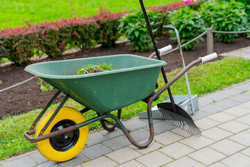 green wheelbarrow filled with grass clippings standing on garden path with rake broom and gardening...