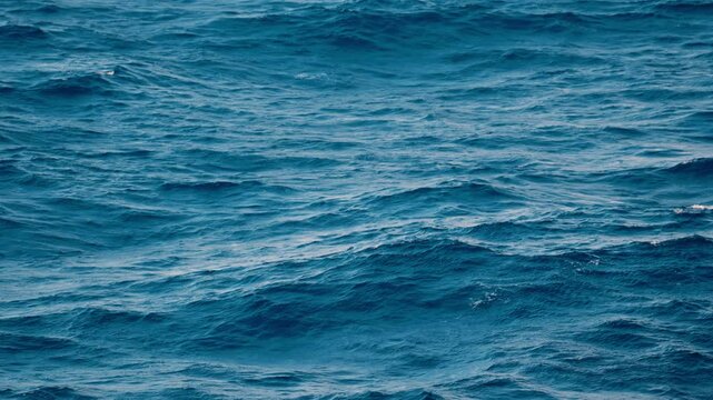 The calm ocean waves gently roll over the deep blue water, creating a completely tranquil atmosphere that is simply perfect for relaxation and for inspiring various naturethemed projects and ideas