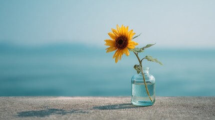 Minimalist Sunflower in Glass Vase by the Sea Under Soft Morning Light
