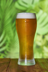 A glass of cold, golden beer, brimming with foam against a backdrop of green plants on a rustic...