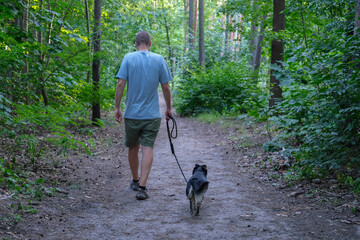 Man walks a small dog on a leash along a forest path surrounded by dense green trees on a summer day.