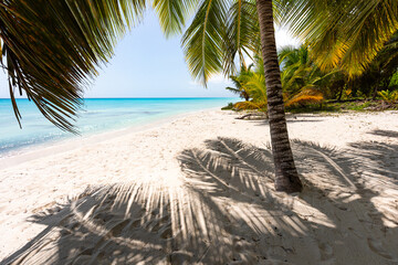 Tropical beach with palm tree shadows on white sand and turquoise Caribbean Sea, photographed on Saona Island in the Dominican Republic.