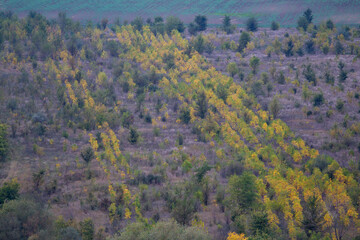 A panoramic view of a vast, uncultivated hillside with patches of green and distinct rows of...