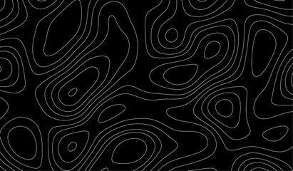 Bold abstract design combining sinuous lines with intricate labyrinth structures . Contour Line Patterns Showing the Complexity of Topographic Landscapes 

