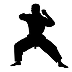 Silhouette of a martial artist in a fighting stance without background  