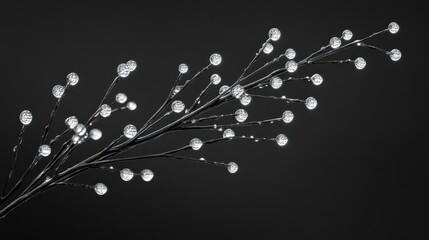 Silver branch with clear gems, dark background