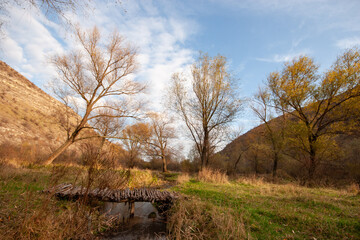 Obraz premium Rustic Wooden Log Bridge Over a Small Stream in a Rural Landscape. Late Autumn or Early Spring Countryside Scene