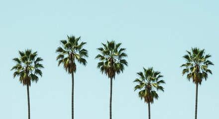 Fototapeta premium Five Palm Trees Against a Pale Blue Sky (1)