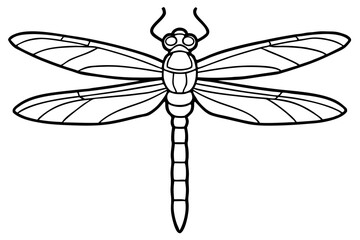Isolated green dragonfly vector illustration with delicate wings and prominent eyes on a white background, capturing the fragility of this flying insect